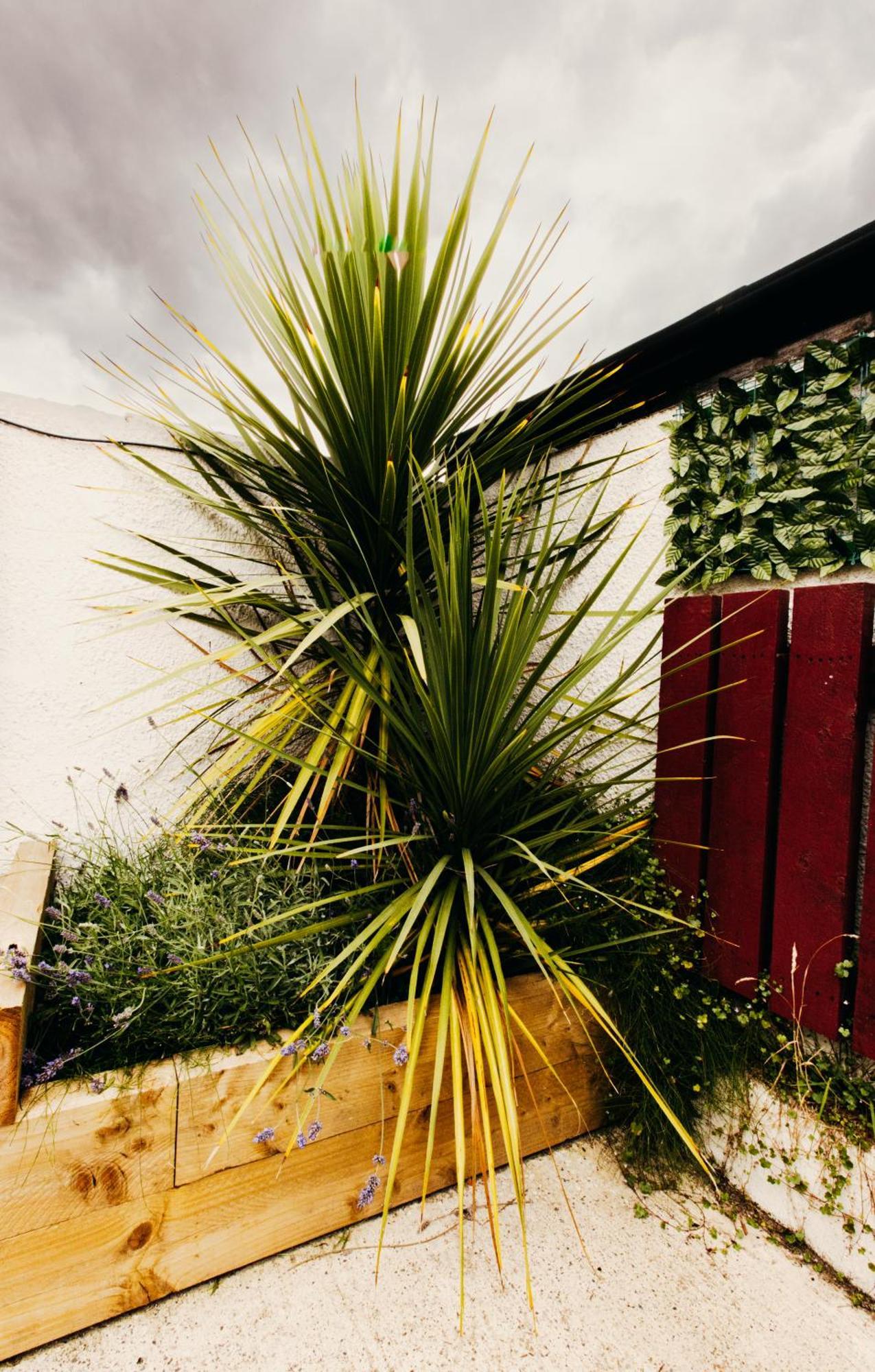 Friars Bush House Belfast - Stunning 4 Bedroom Detached House In Exclusive Queens Quarter Luxury Belfast City Centre Екстериор снимка